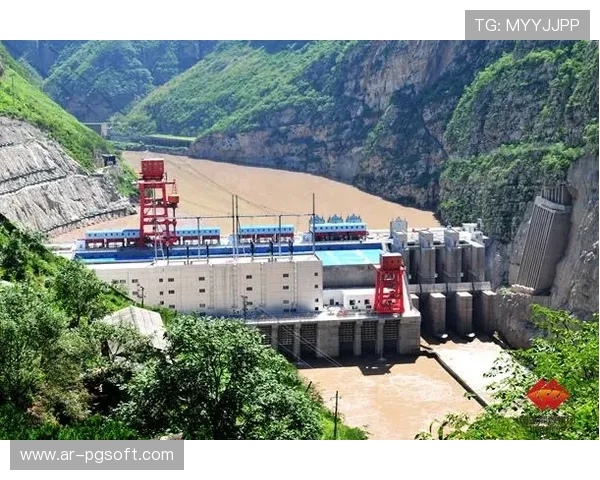 业内通过动态调度模型优化流程，显著提升大型活动接待效率